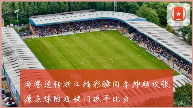 海港逆转浙江精彩瞬间李帅助攻张源点球附近破门扳平比分