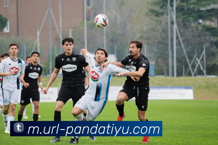 熊猫体育品牌故事