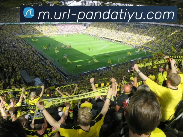 熊猫体育服务体系